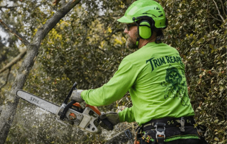 Tree trimming