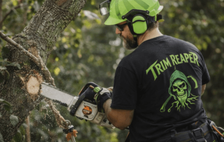 Tree pruning